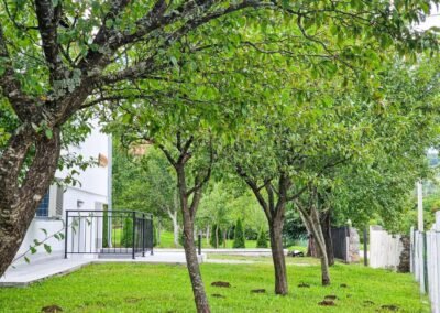 Tree-lined lawn beside Grga's Villa
