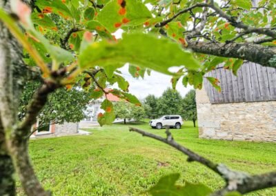 View through the orchard towards the villa parking area